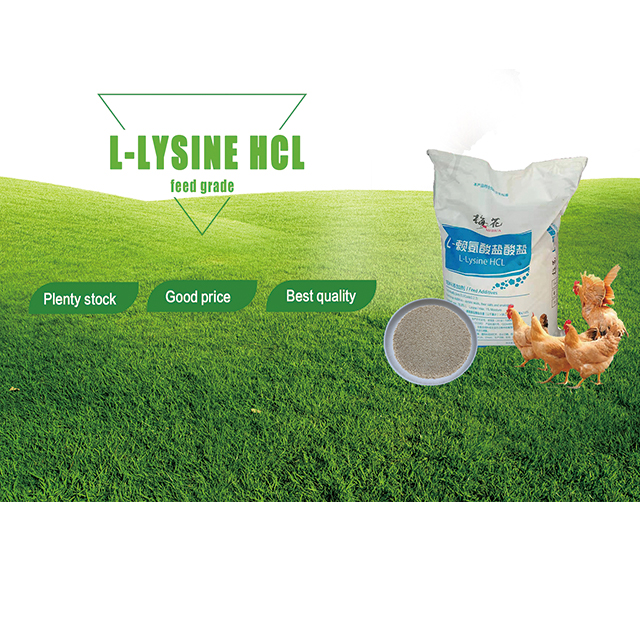 Venta caliente 98.5% 70% lisina hcl sulfato meihua clorhidrato grado de alimentación L-lisina en polvo
